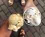The Lexington Ice Cream Guide